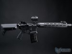 EMG AEG- Lancer Systems L15 Ray Gerek Carbon 12`` Siyah