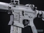 EMG AEG- Lancer Systems L15 Ray 15`` Siyah