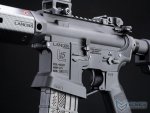 EMG AEG- Lancer Systems L15 Ray Carbon Look 15`` Siyah