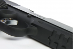 Predator Tactical Night Shrike .45 ACP  2 Tone 